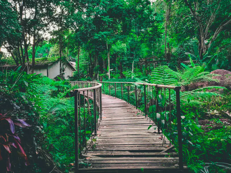 ทัศนียภาพ 360° ยามรุ่งอรุณ — หมู่บ้านแม่กำปอง Mae Kampong Village เชียงใหม่ ประเทศไทย