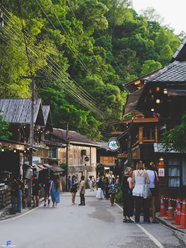 ไร่ชาโอโชะบนที่สูง — หมู่บ้านแม่กำปอง Mae Kampong Village เชียงใหม่ ประเทศไทย