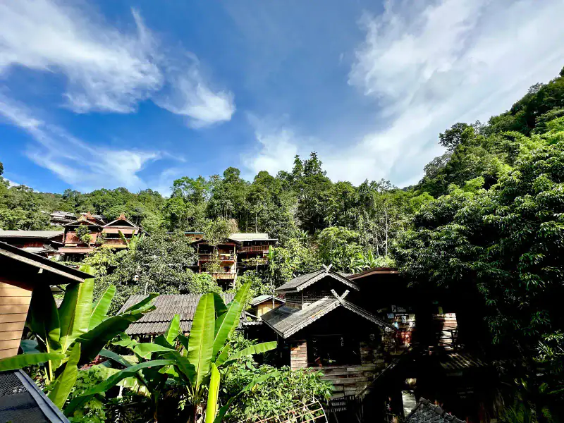 ป่าสนและเฟิร์น — หมู่บ้านแม่กำปอง Mae Kampong Village เชียงใหม่ ประเทศไทย